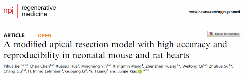 贝老师图片 1.png 贝老师图片 1.png