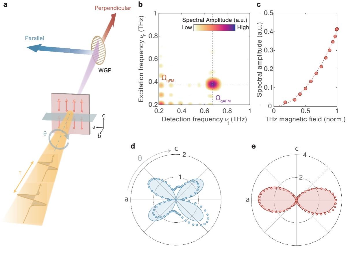 20240123-6.jpg 20240123-6.jpg